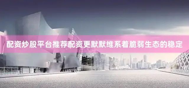 配资炒股平台推荐配资更默默维系着脆弱生态的稳定