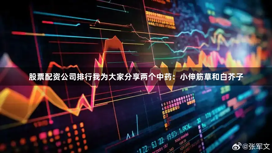 股票配资公司排行我为大家分享两个中药：小伸筋草和白芥子
