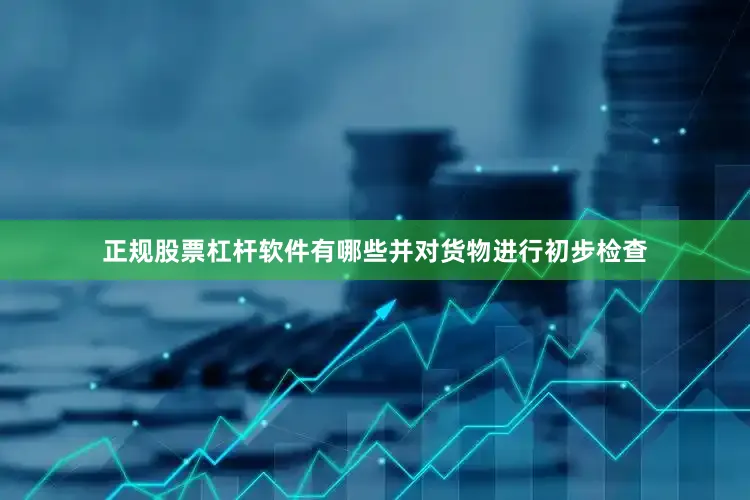 正规股票杠杆软件有哪些并对货物进行初步检查